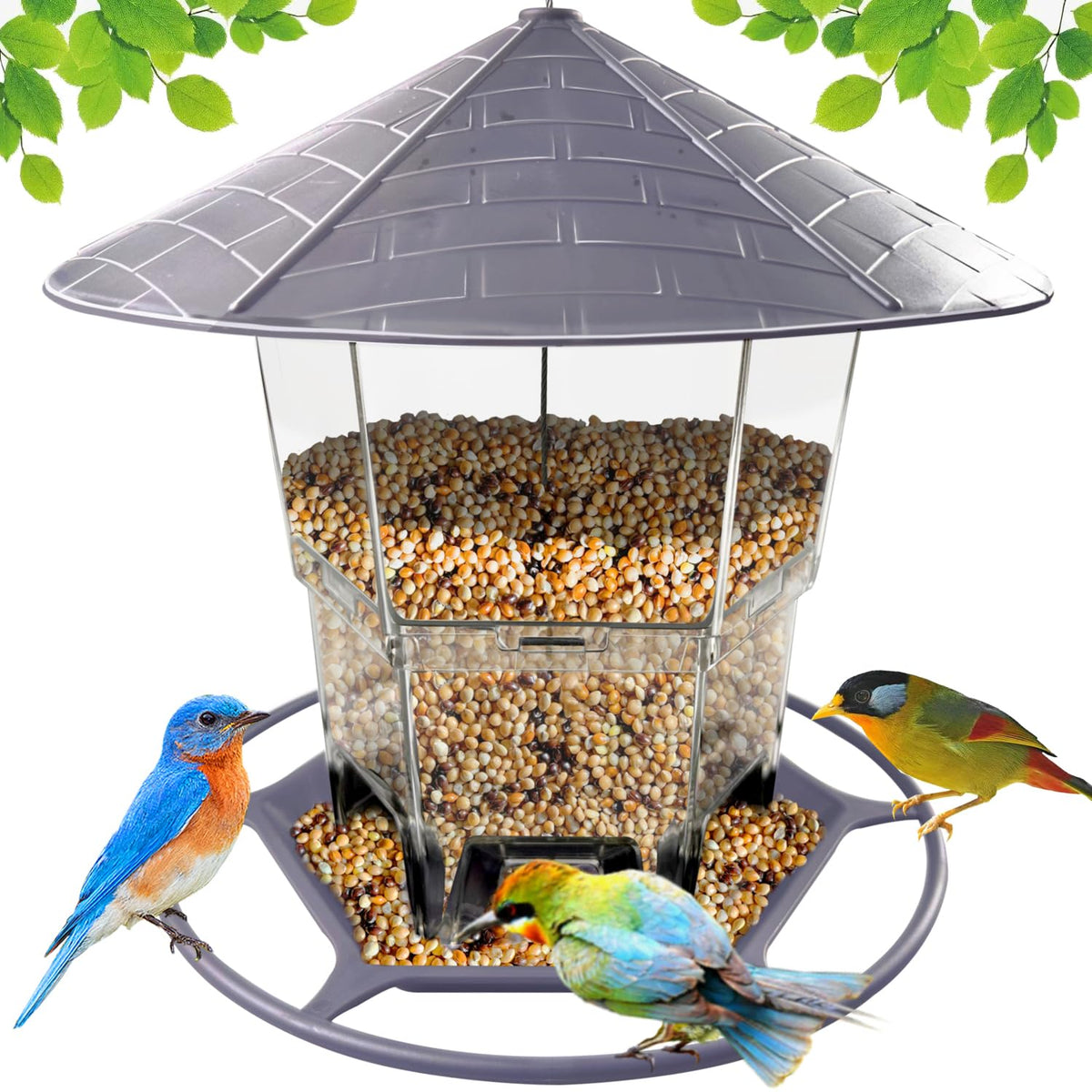 WLLKOO bird feeder outdoors with adjustable roof protects seeds from rain.