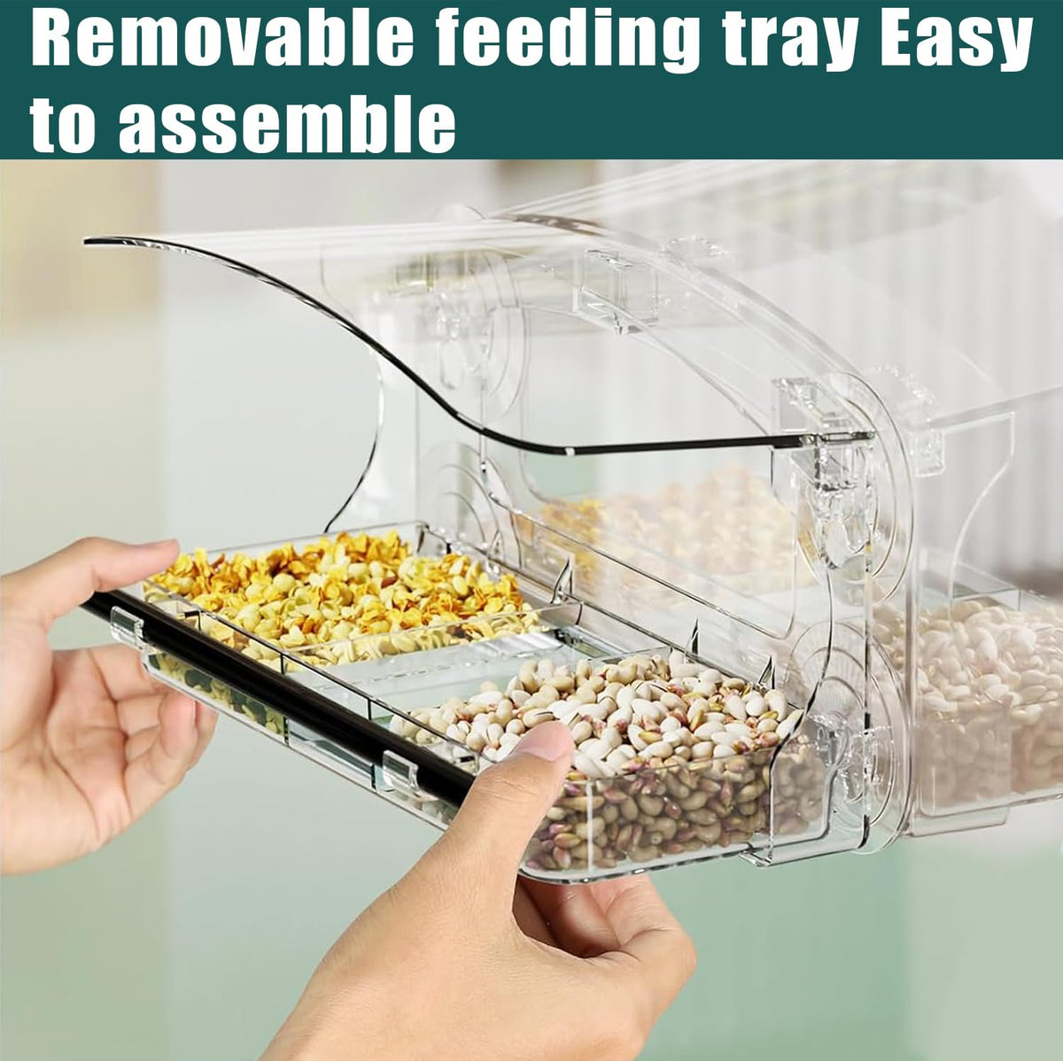 Clear viewing design of the WLLKOO feeder enables easy bird-watching from indoors.
