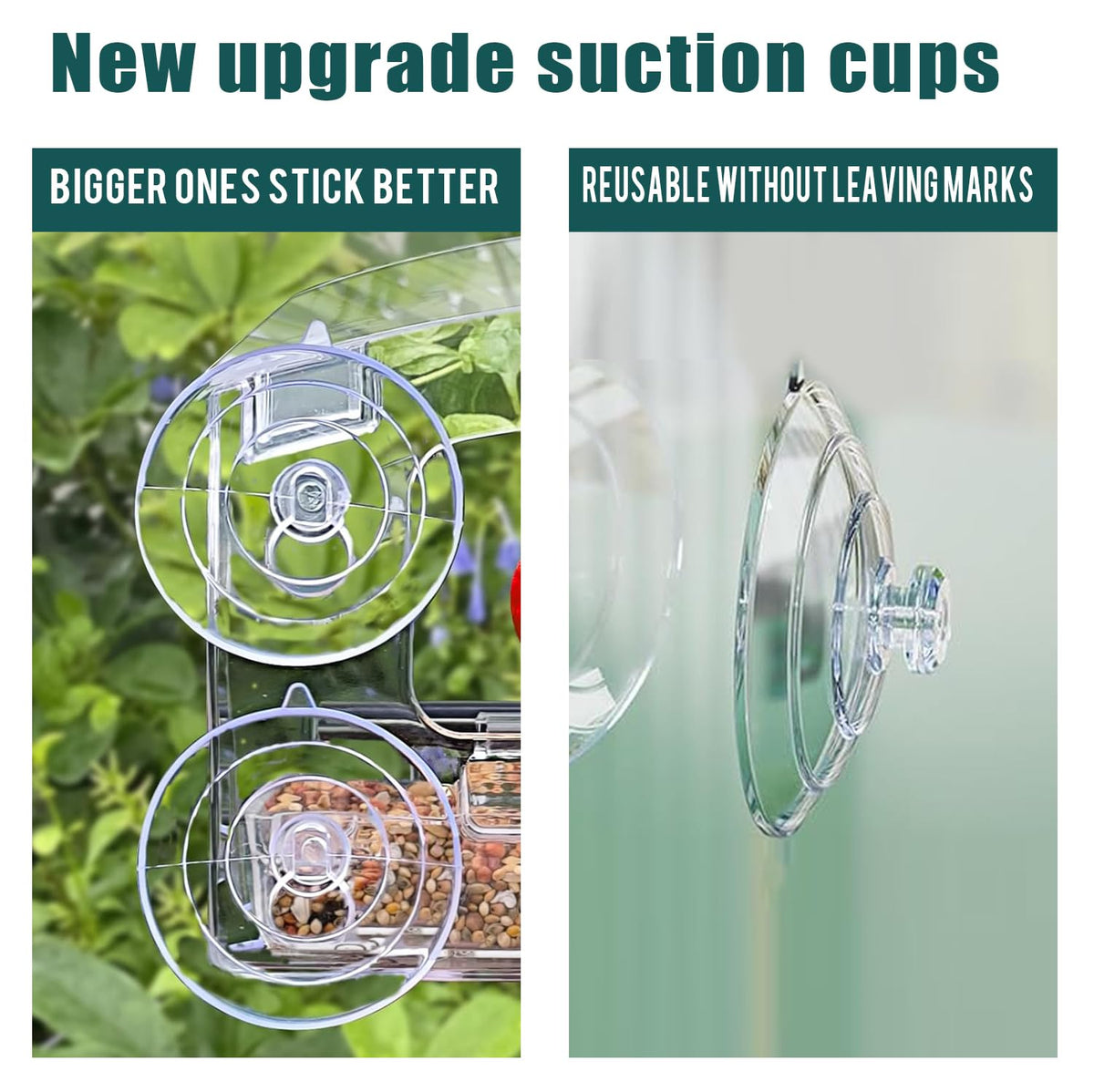 Two feeding troughs on the WLLKOO feeder allow multiple birds to feed together.