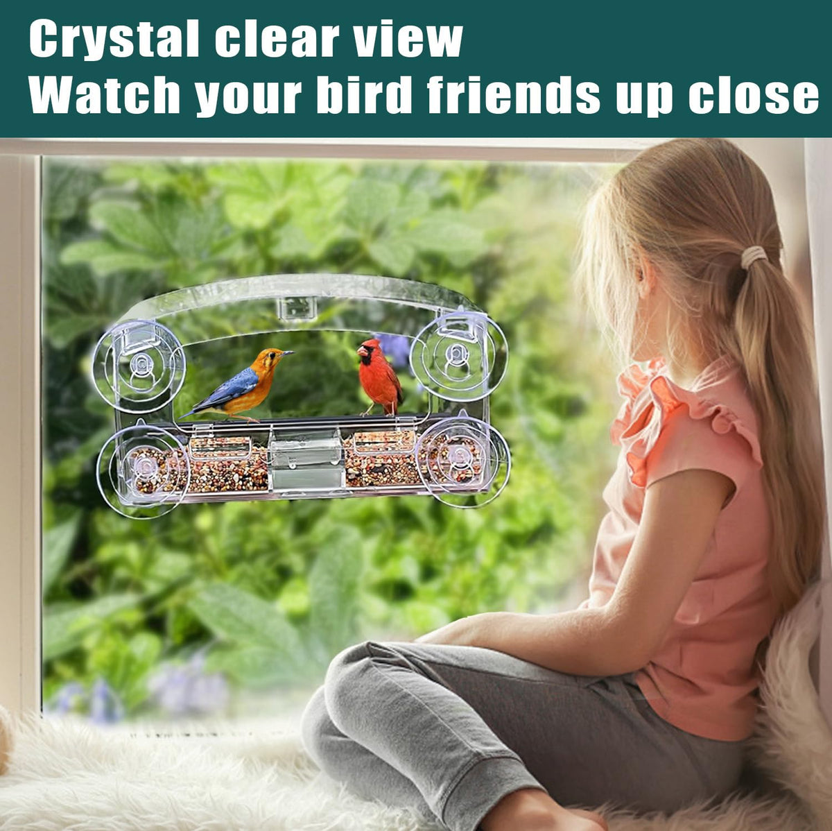WLLKOO Window Bird Feeder makes a thoughtful gift for nature lovers and families.