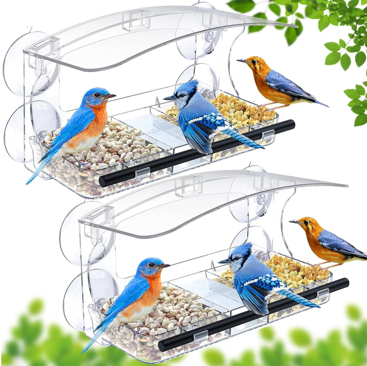 WLLKOO Window Bird Feeder secured by strong suction cups for steady indoor viewing.