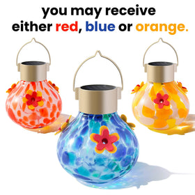 WLNYUGS glass orb with 10oz capacity sustains nectar feeding.