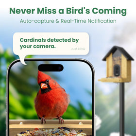 WLNYUGS real-time alerts keep you connected to action