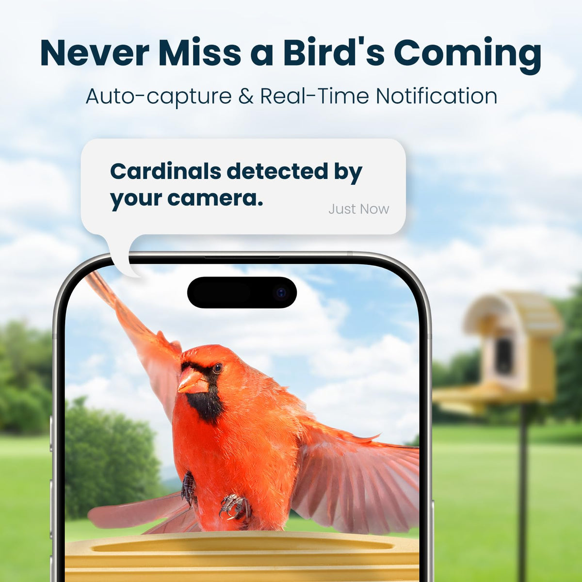 WLNYUGS Smart Bird Feeder AI identification tracks species during visits