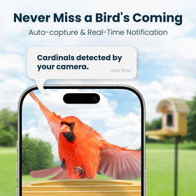 WLNYUGS Smart Bird Feeder AI identification tracks species during visits