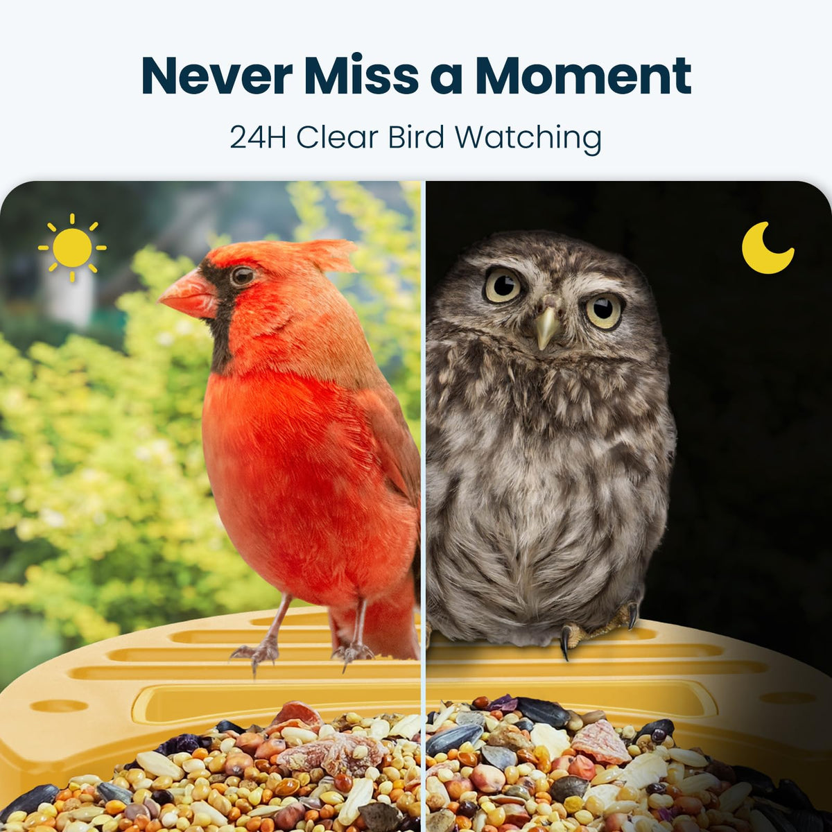 WLNYUGS Smart Bird Feeder enables family to view recordings together