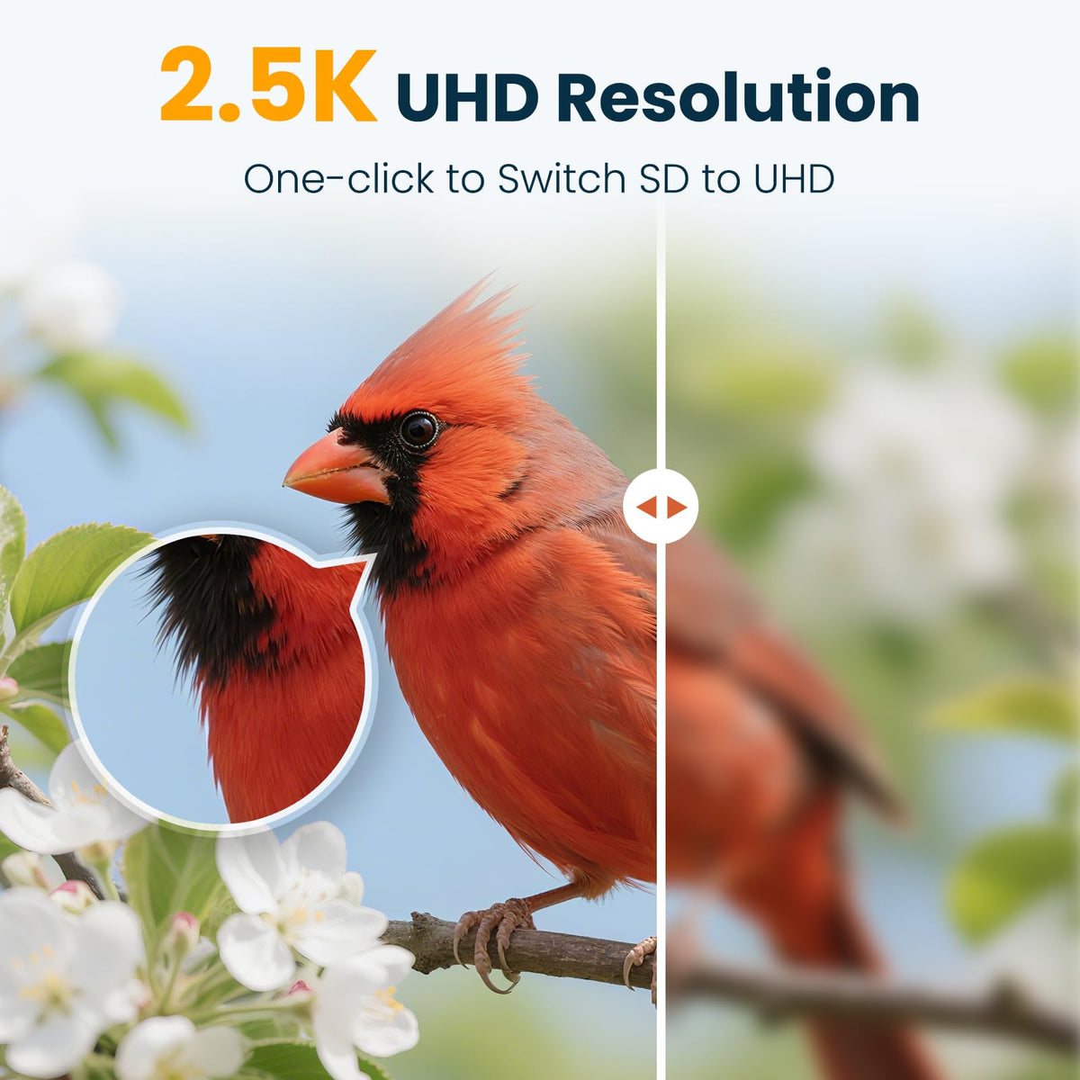WLNYUGS Smart Bird Feeder has a one point five liter capacity to reduce refills