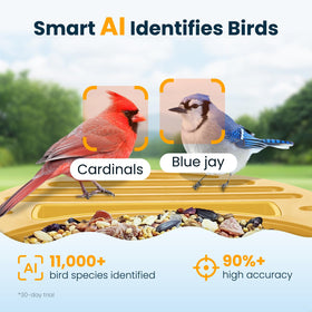 WLNYUGS Smart Bird Feeder solar panel charging enables continuous outdoor monitoring