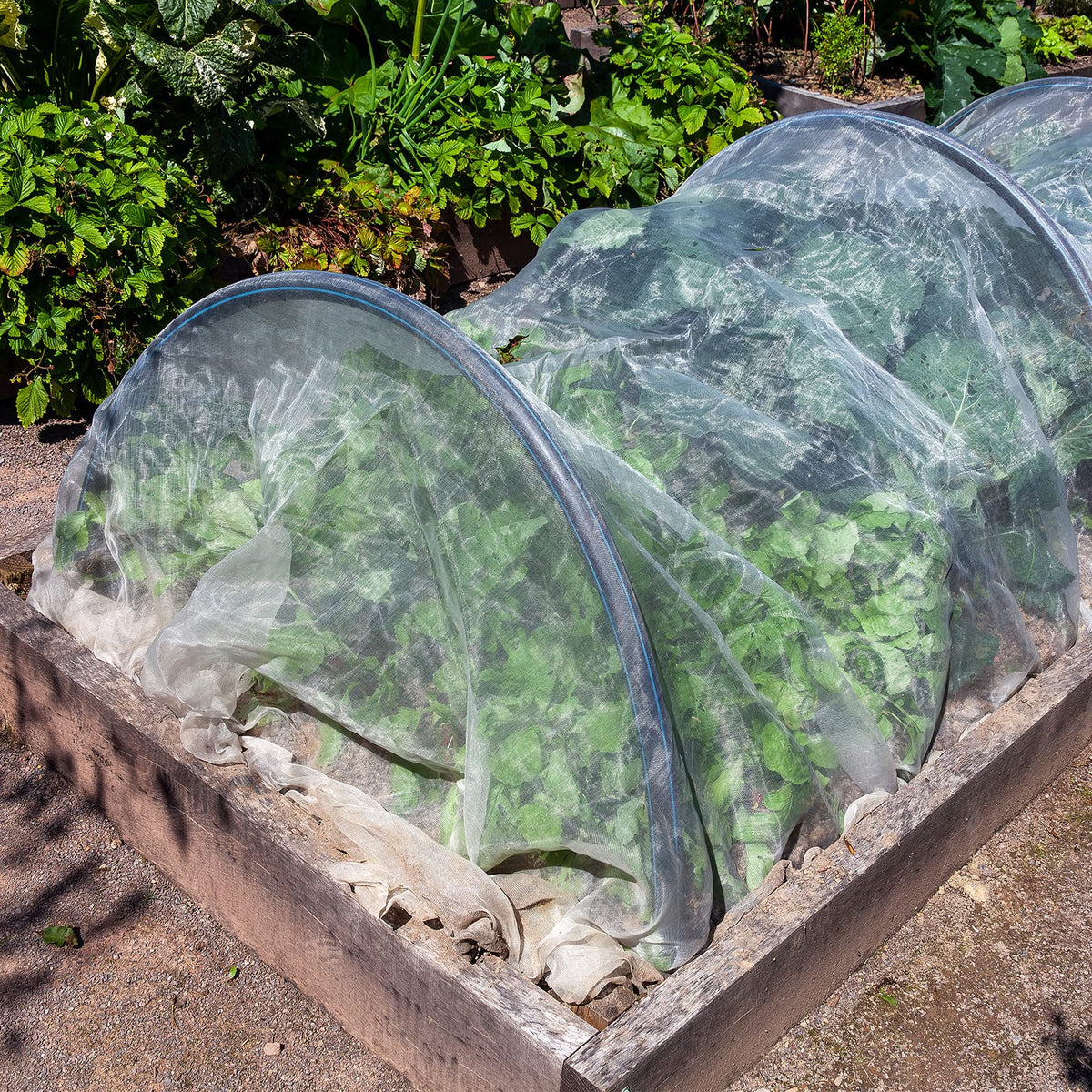 Woanger water-permeable mesh protects fruits and flowers while enabling watering