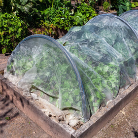 Woanger water-permeable mesh protects fruits and flowers while enabling watering