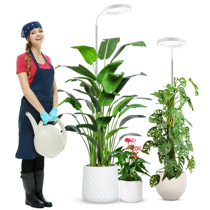 wolezek Grow Light 65-inch tall design for stable indoor placement