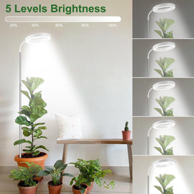 wolezek Grow Light with five brightness levels to tailor intensity