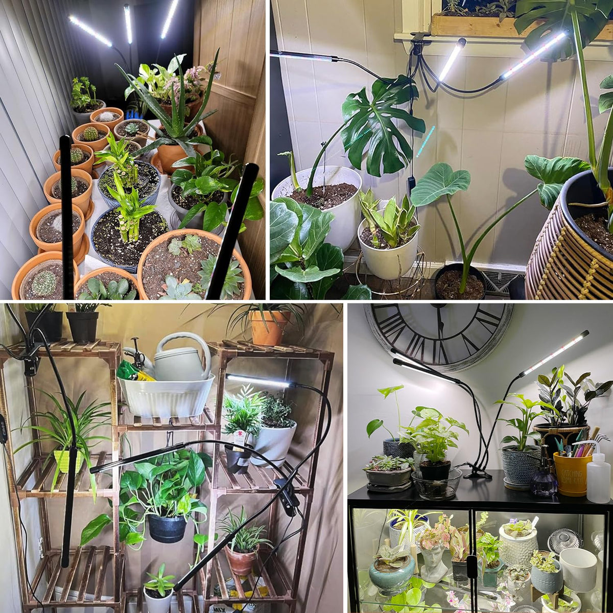 wolezek grow lights in use with plants—even coverage along a rack.