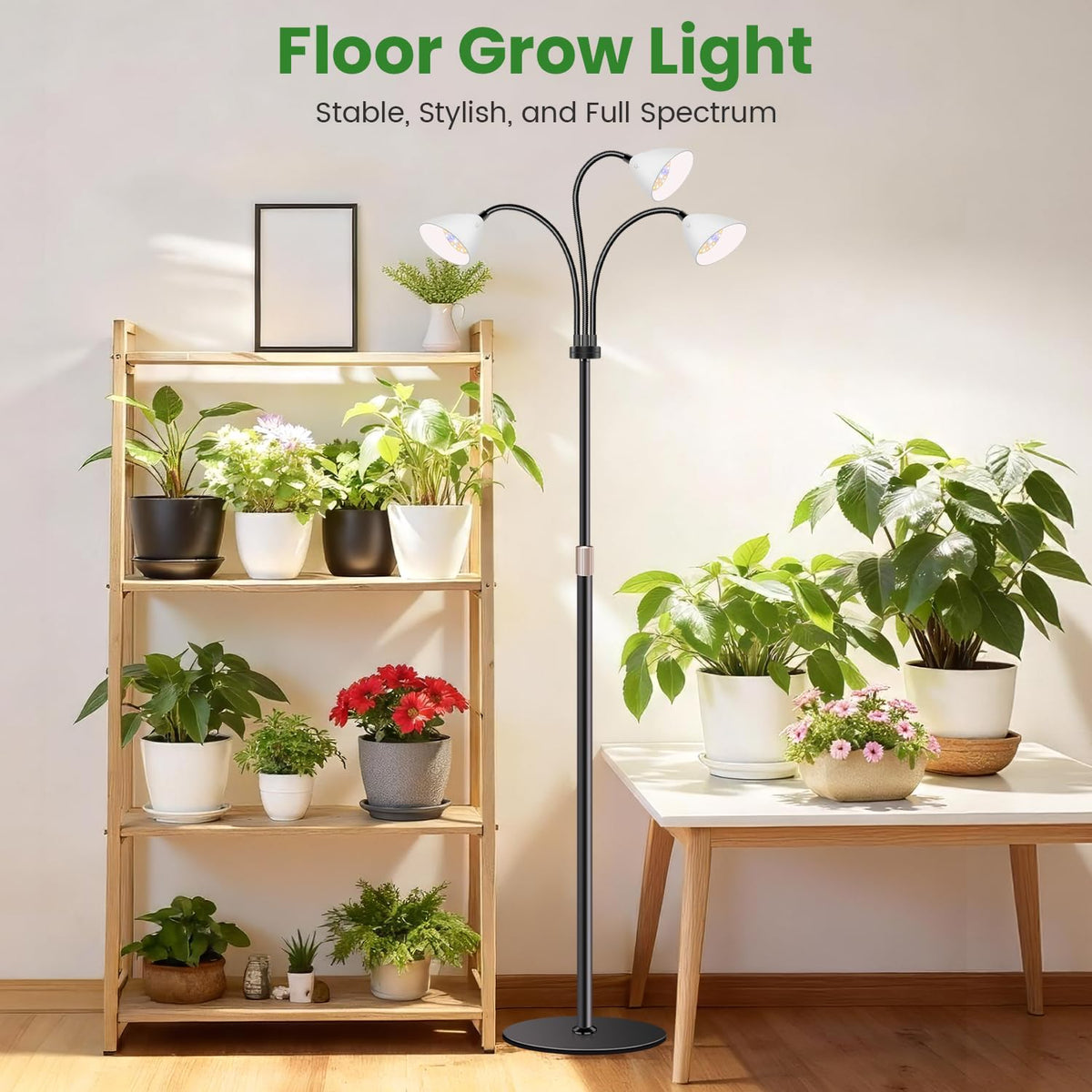 Long 9.8 ft cord allows versatile room placement