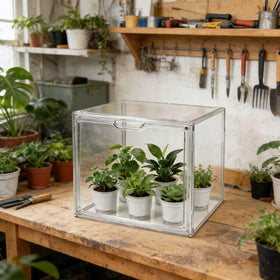 Compact Wollibao mini greenhouse fits narrow windowsills for herbs and small pots