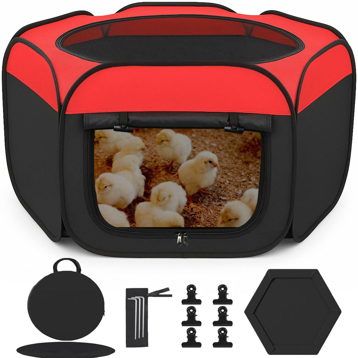 WOLOGO chicken brooder box pop-up setup shows quick, portable chick housing