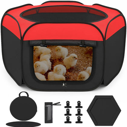 WOLOGO chicken brooder box pop-up setup shows quick, portable chick housing
