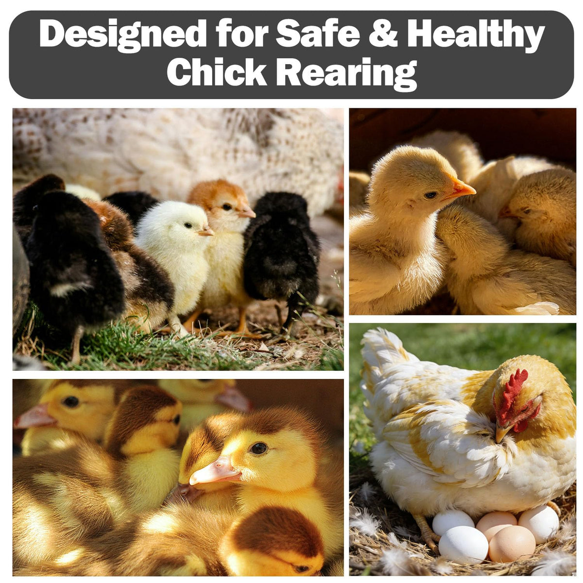 WOLOGO chicken brooder box folds flat for compact storage