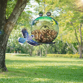 Wonder Garden gift-ready frog feeder suits nature lovers and gardeners