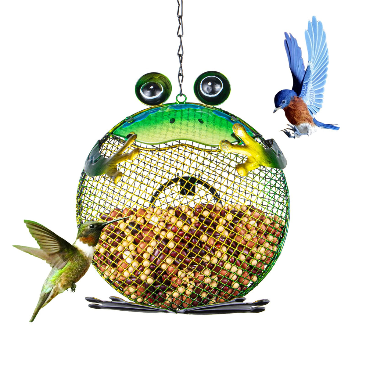 Wonder Garden frog-design hanging feeder attracts birds with whimsical charm