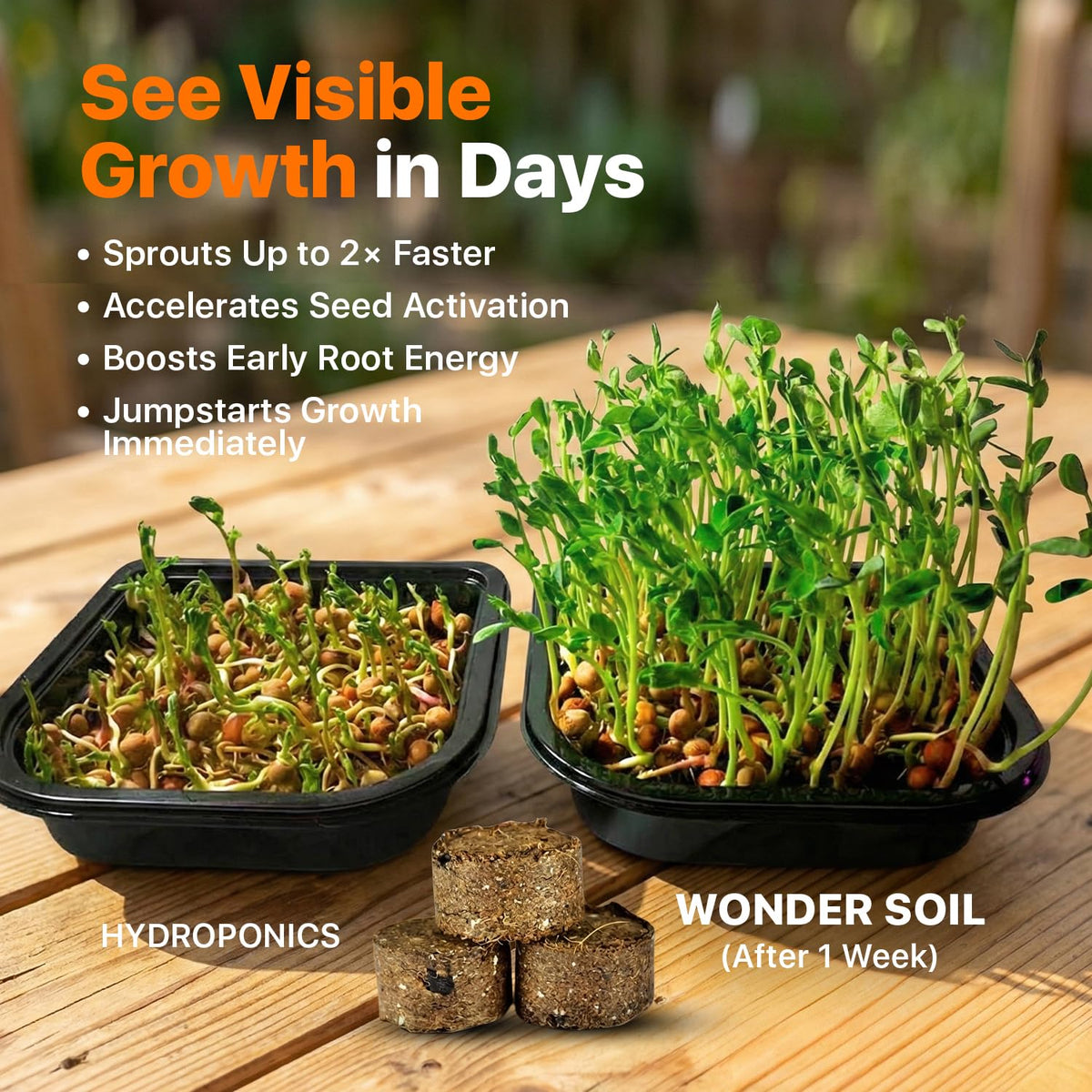 Wonder Soil seed pellets indoors setup demonstrates a tidy germination environment.