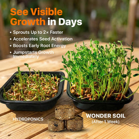 Wonder Soil seed pellets indoors setup demonstrates a tidy germination environment.