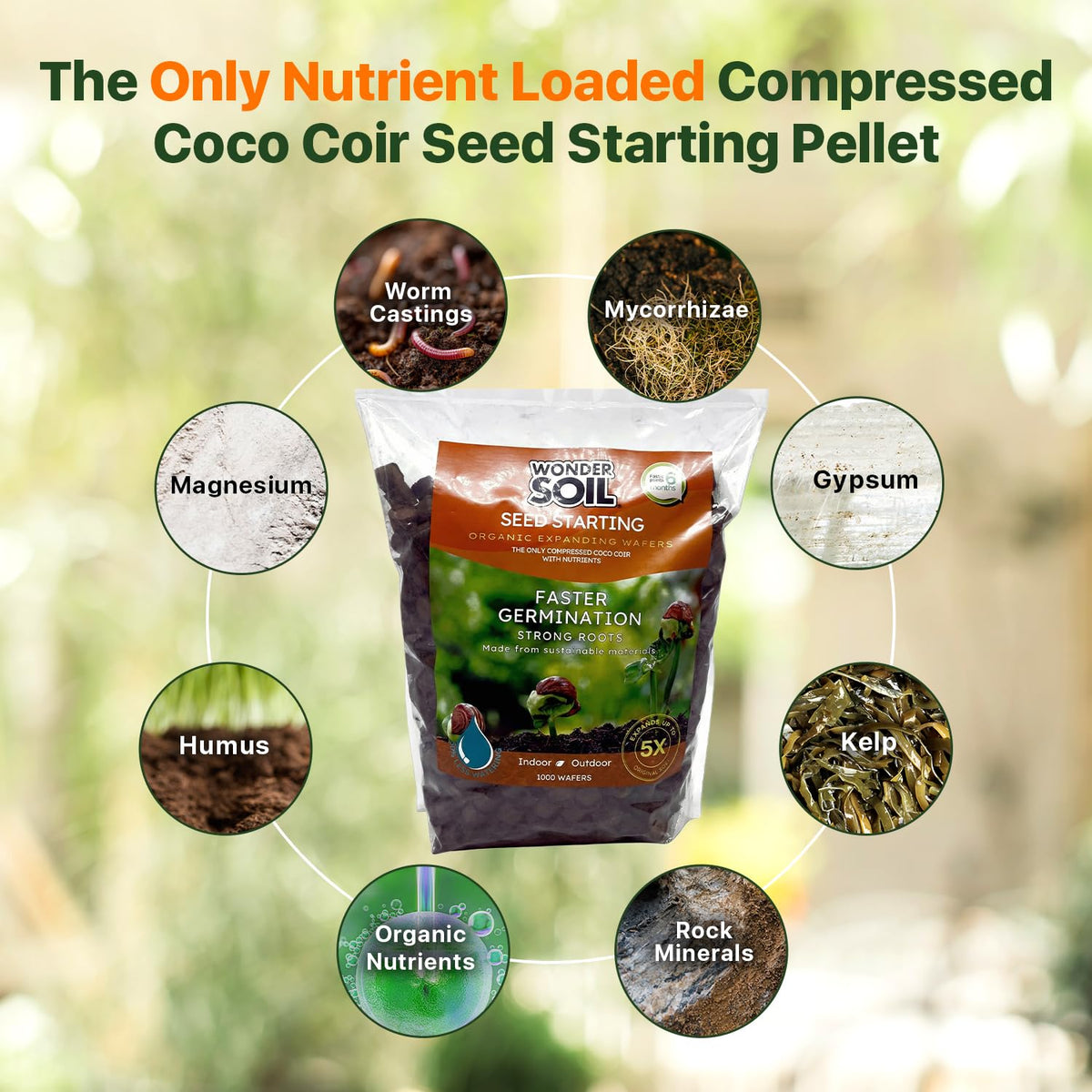 Wonder Soil seed pellets nutrients visible when hydrated for faster germination.