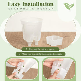 Wonderjune bare-root ready planter ideal for quick transplant establishment