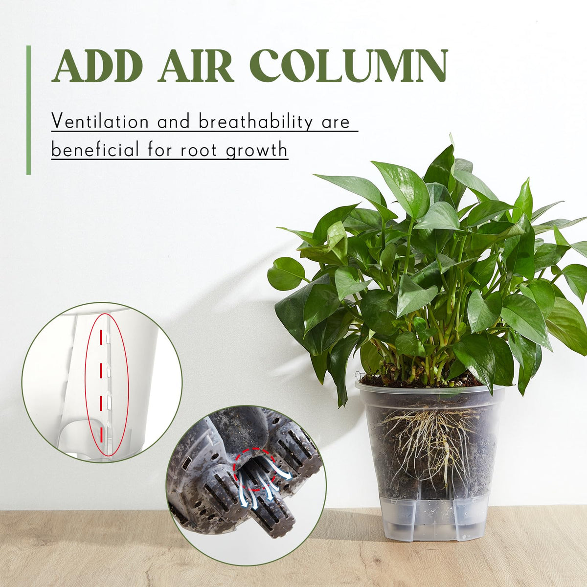 Wonderjune clear pots allow root monitoring for better care