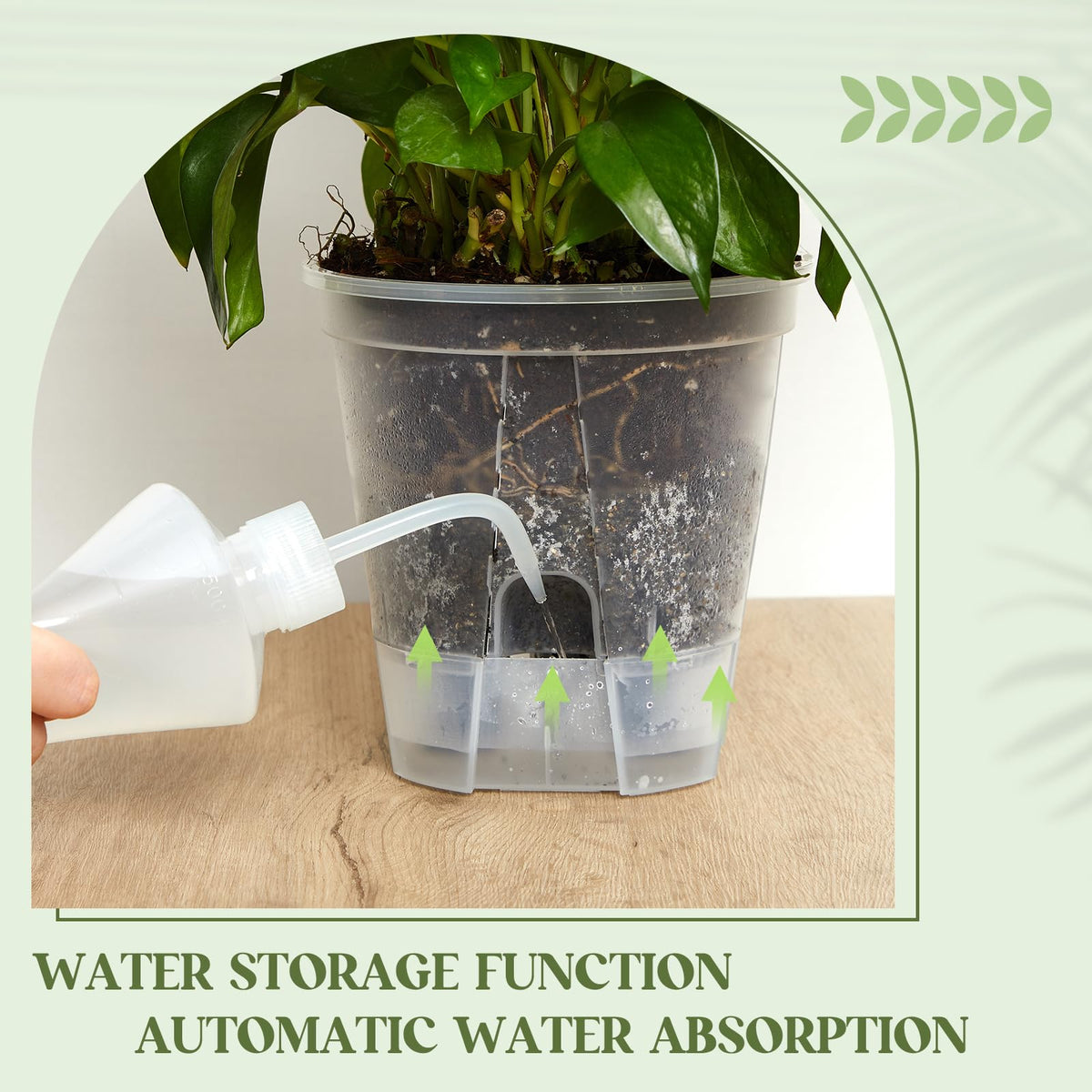 Wonderjune pot highlighting deep water reservoir for extended moisture