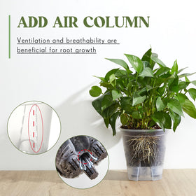 Wonderjune four-pack sizes shown together for versatile plant fit