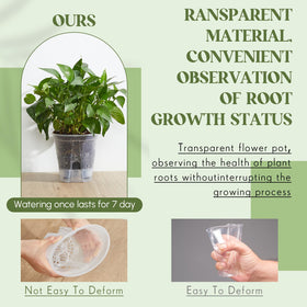 Wonderjune transparent design enables root and soil monitoring at a glance