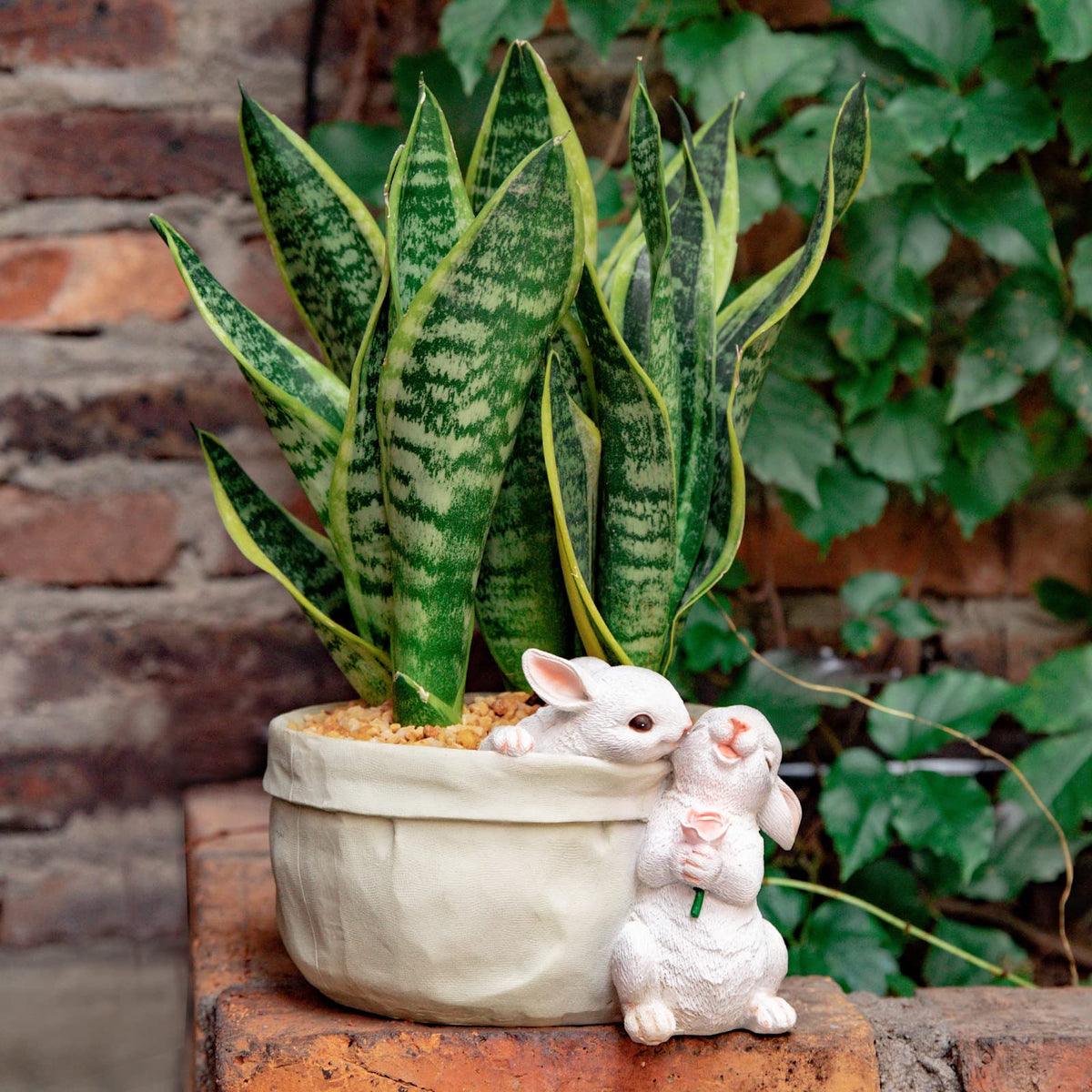 WONDHOME succulent garden pot ideal for kitchen herbs and small plants.