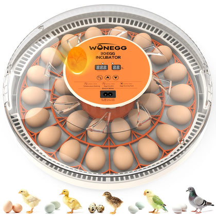 WONEGG incubator with 30-egg capacity for efficient home hatchery workflows