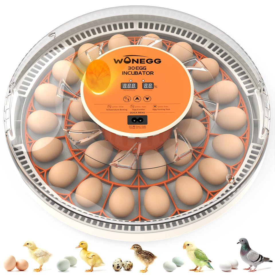 WONEGG incubator with 30-egg capacity for efficient home hatchery workflows