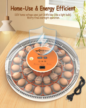 WONEGG incubator beginner-friendly setup designed for quick startup