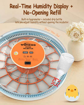 WONEGG incubator clear-lid provides easy monitoring without opening the incubator