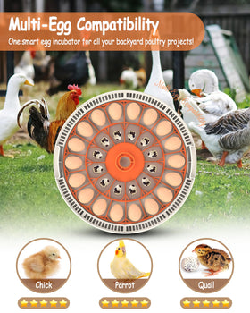 WONEGG incubator humidity-display shows moisture levels at a glance for stable incubation