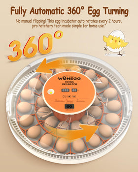WONEGG incubator temperature-display highlights precise climate control for healthier hatch cycles