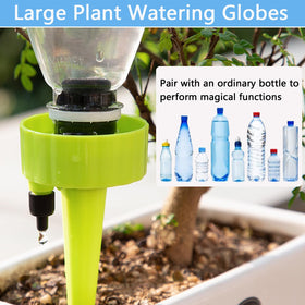 Wonglea suitable for indoor and outdoor plants and spaces
