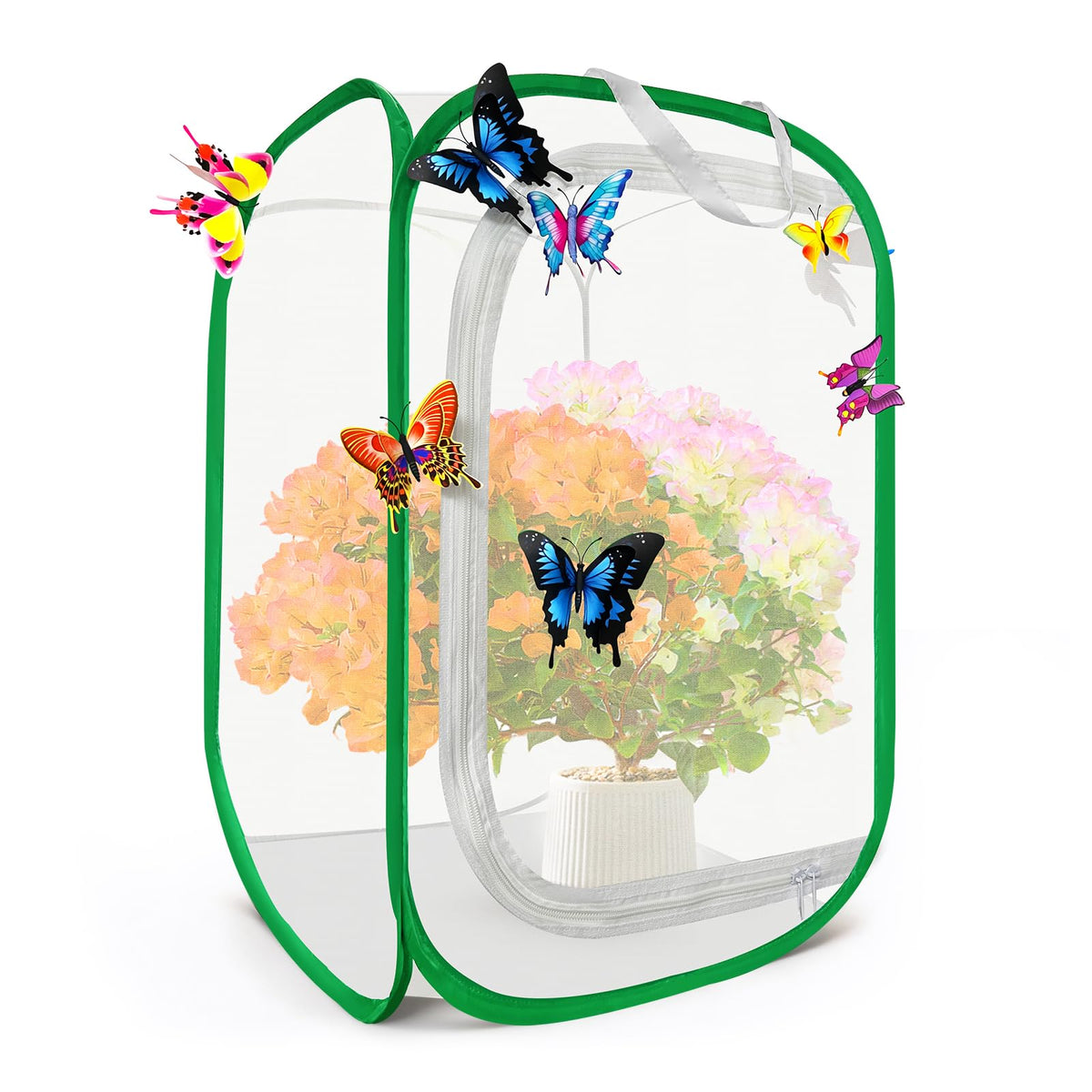 Wongxuheze butterfly habitat cage with 12 decorative butterflies for observation