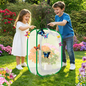 Wongxuheze caterpillar to butterfly kit ideal for classroom science