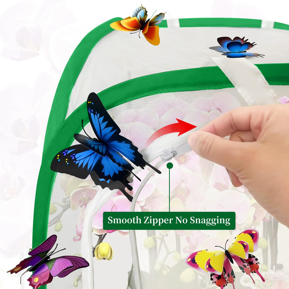 Wongxuheze pop-up foldable butterfly habitat for easy transport