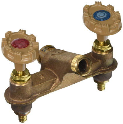 Woodford 122PX wall faucet delivering hot and cold water for car washing and pet care.