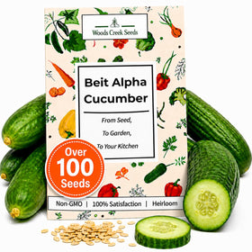 Woods Creek Seeds Beit Alpha cucumber seed packet for home planting