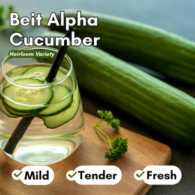 Woods Creek Seeds Beit Alpha seed packet with beginner-friendly instructions