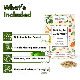 Beit Alpha cucumber seeds with thin skin ideal for fresh eating