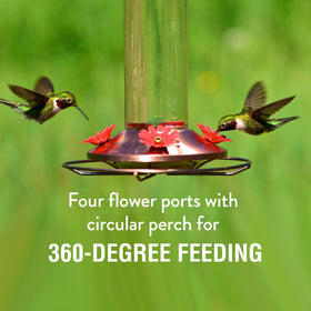 Woodstream Perky-Pet Elegant Copper Glass Hummingbird Feeder four-port perch enables 360-degree feeding