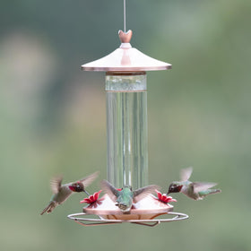 Woodstream Perky-Pet Elegant Copper Glass Hummingbird Feeder 12 oz nectar capacity attracts visitors