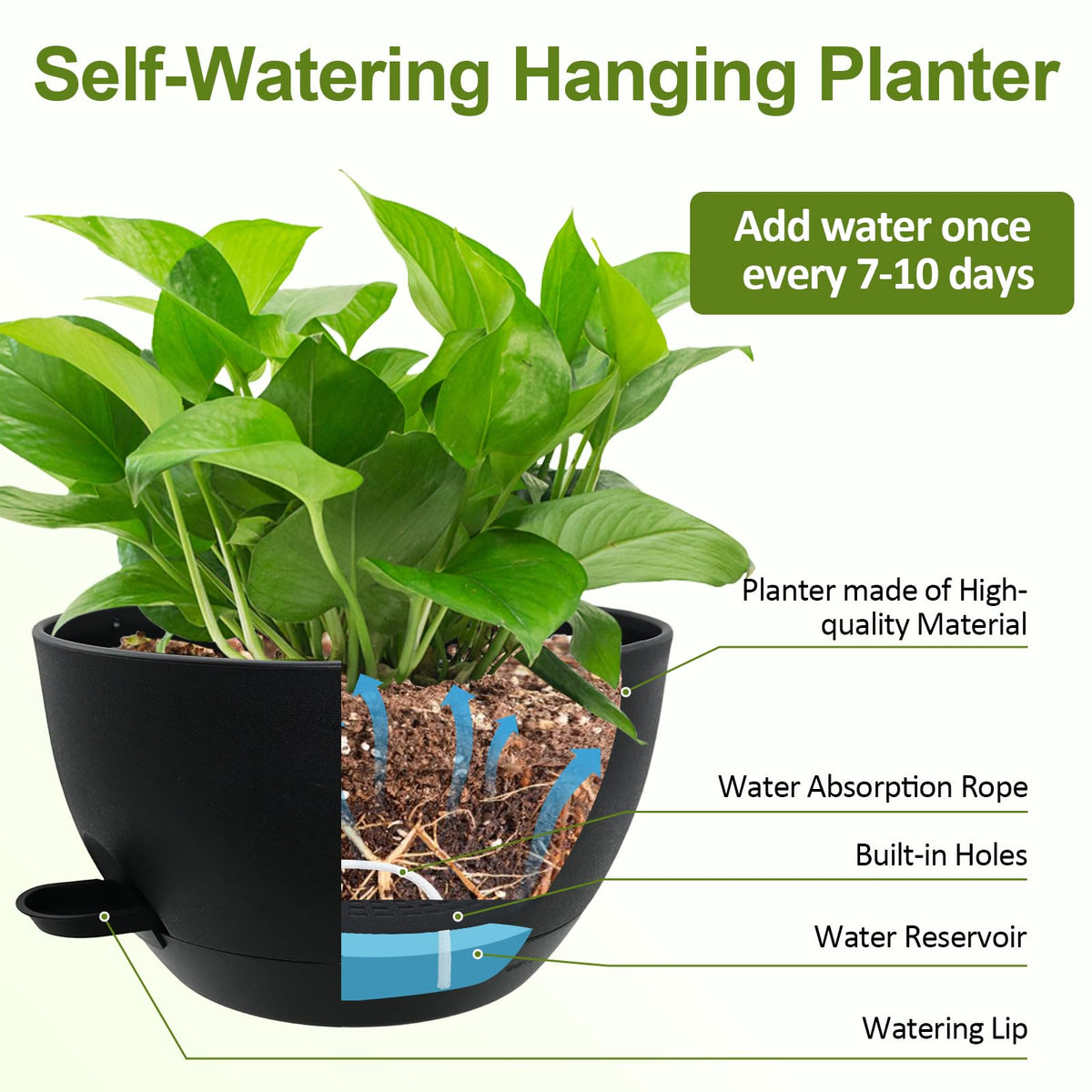 WOUSIWER plants in hanging basket illustrate indoor greenery in living spaces.
